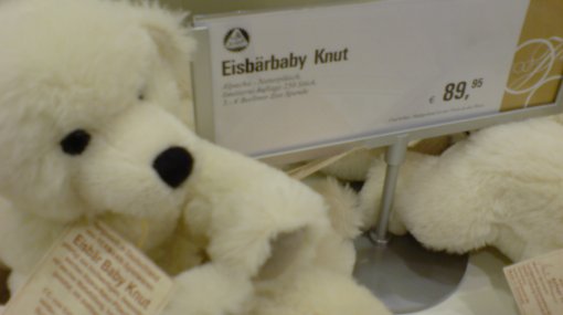 Knut der Eisbaer in Berlin