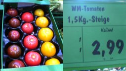WM Tomaten