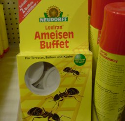 Ameisen Buffet