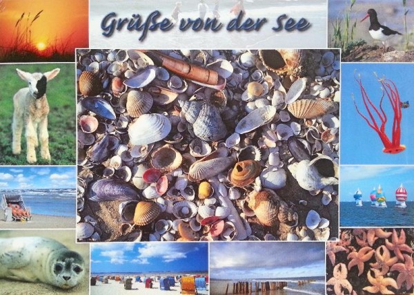 Postkarte von der Nordsee
